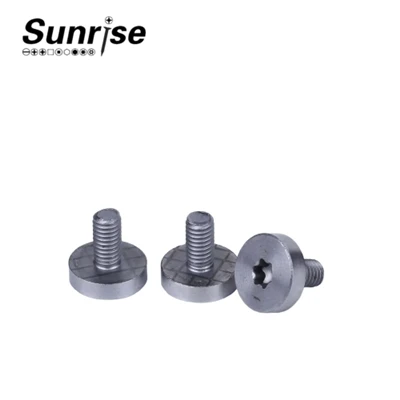 Cap Head Torx Drive Machine Skruer