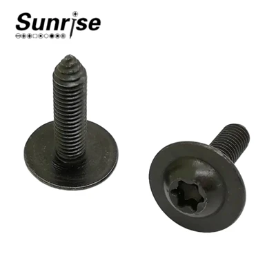 Pan Head Torx Socket Machine Tapning Automotive Skrue
