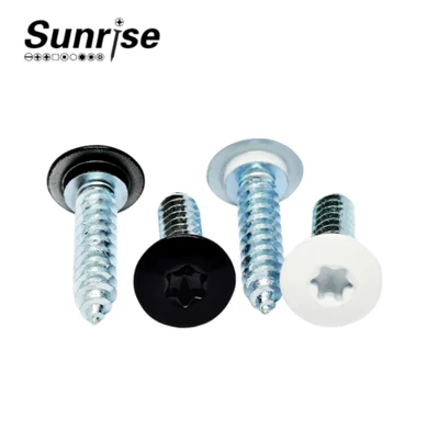 Torx Pan Head selvskærende skrue